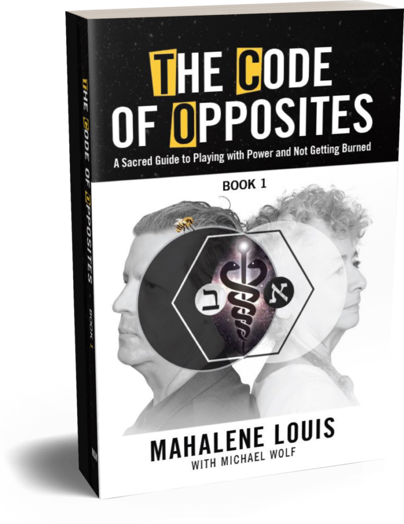 The Code of Opposites